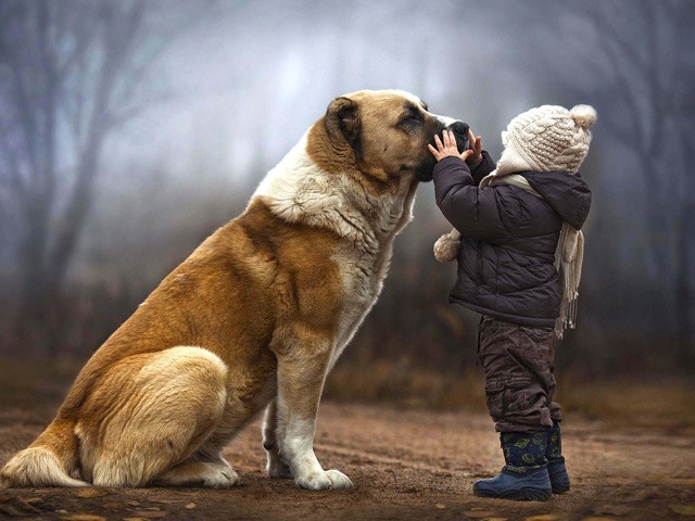 love1.jpg