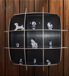 cosmos-shelf_10.jpg