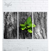 Модульная картина "Природа №16"