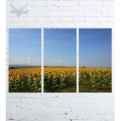 Модульная картина "Природа №193"
