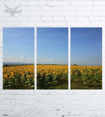 Модульная картина "Природа №193"