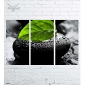 Модульная картина "Природа №281"