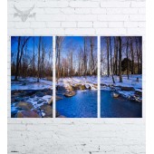 Модульная картина "Природа №609"