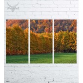 Модульная картина "Природа №691"