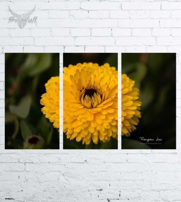 Модульная картина "Цветы №12" Модульная картина "Цветы №12"