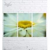 Модульная картина "Цветы №151"