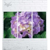 Модульная картина "Цветы №368"