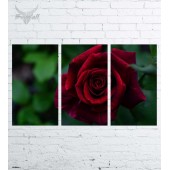 Модульная картина "Цветы №554"