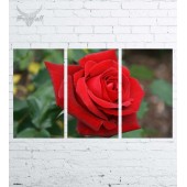 Модульная картина "Цветы №587"