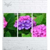 Модульная картина "Цветы №683"
