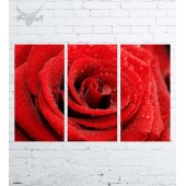Модульная картина "Цветы №953"