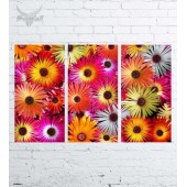 Модульная картина "Цветы №1507"
