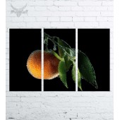 Модульная картина "Фудстилизм/Натюрморт №546"