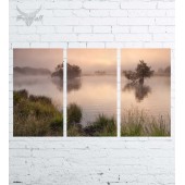 Модульная картина "Природа №830"