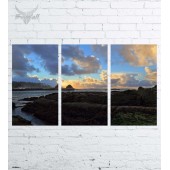 Модульная картина "Природа №863"