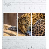 Модульная картина "Природа №1027"