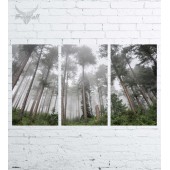 Модульная картина "Природа №1127"