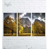 Модульная картина "Природа №1180"