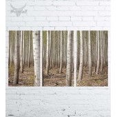Модульная картина "Природа №1272"