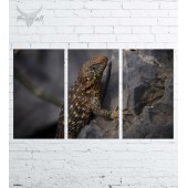 Модульная картина "Природа №1529"