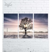 Модульная картина "Природа №1590"