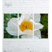 Модульная картина "Природа №1654"