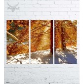 Модульная картина "Природа №1865"