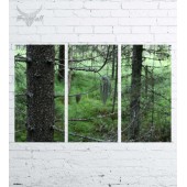 Модульная картина "Природа №2178"