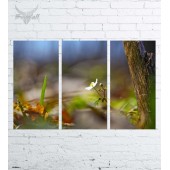 Модульная картина "Природа №2182"