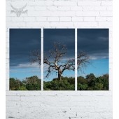 Модульная картина "Природа №2433"