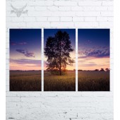 Модульная картина "Природа №2452"