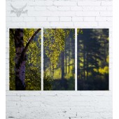 Модульная картина "Природа №2549"