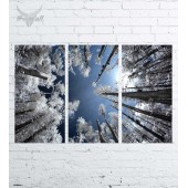 Модульная картина "Природа №2556"