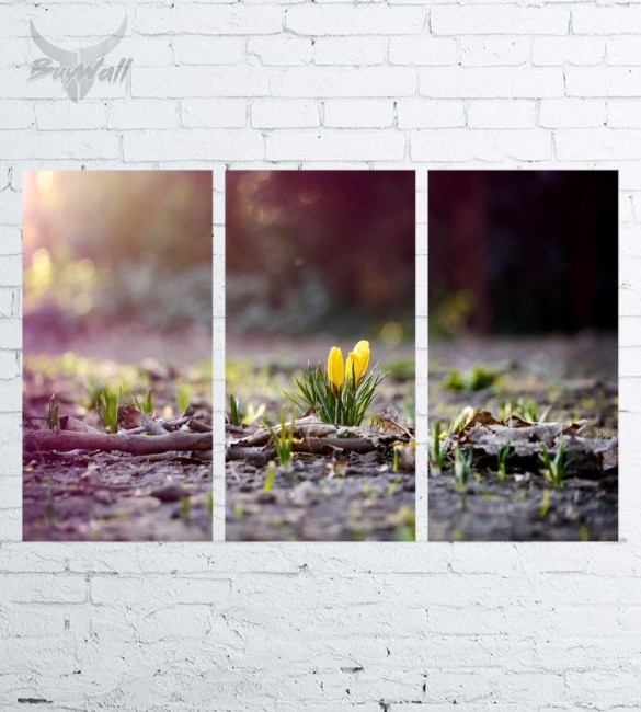 Модульная картина "Природа №2819" Модульная картина "Природа №2819"