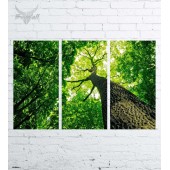 Модульная картина "Природа №2924"