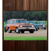 Металлическая табличка Jeep1505