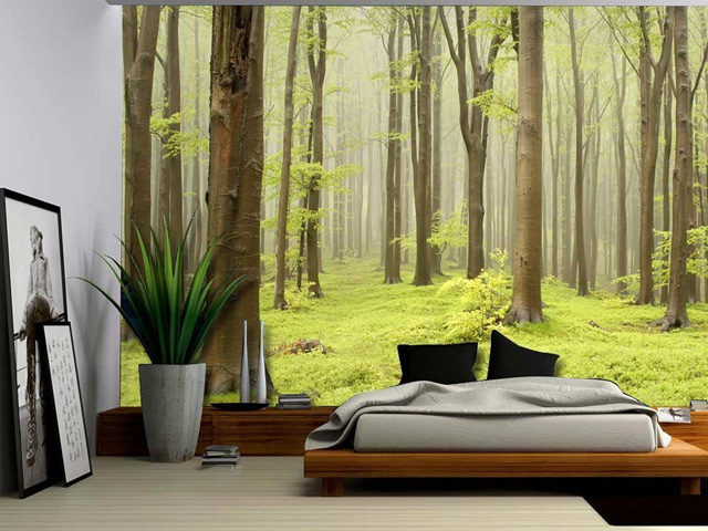 forest1.jpg