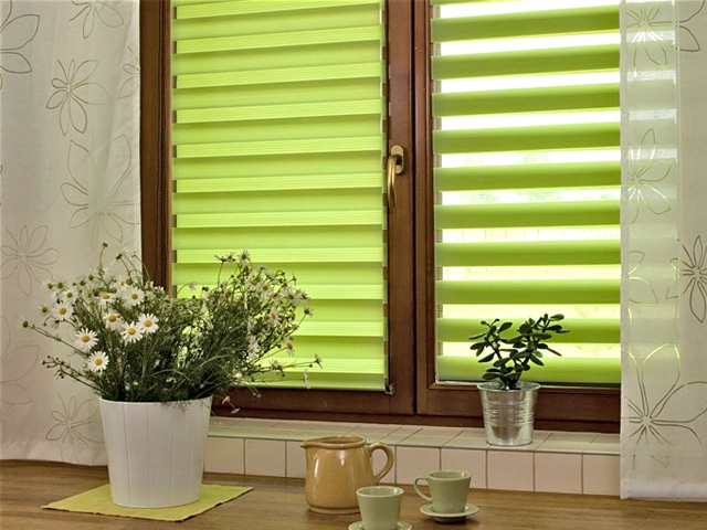 window3.jpg